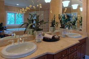 How to Go Green with Your Denver Bathroom Remodel